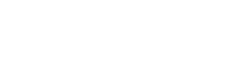 VIAR GROUP